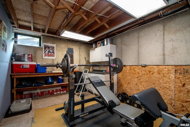 7019 Oak Run Dr, Dahinda, IL 61428 - workout area with carpet flooring