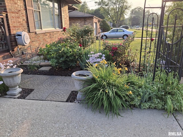 2604 W Kansas St, Peoria, IL 61604 - view of yard