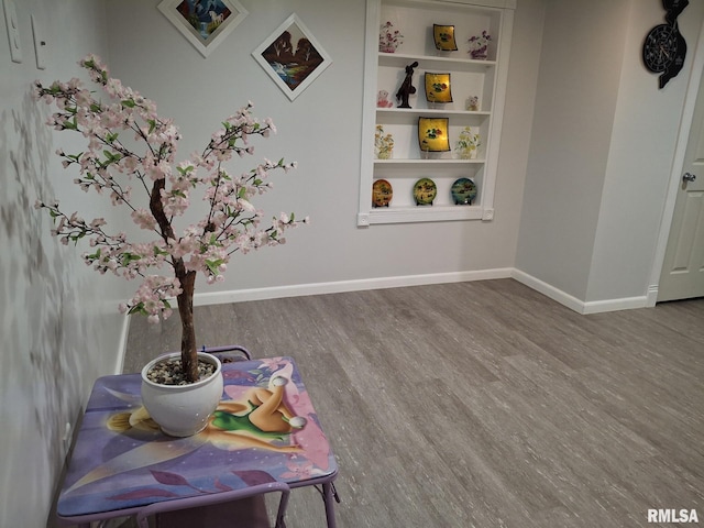2604 W Kansas St, Peoria, IL 61604 - rec room featuring wood finished floors and built in shelves