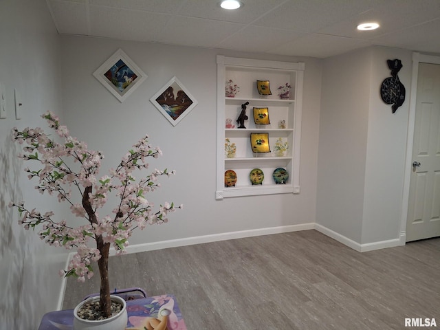 2604 W Kansas St, Peoria, IL 61604 - detailed view of wood finished floors, recessed lighting, and built in shelves