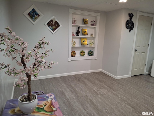 2604 W Kansas St, Peoria, IL 61604 - game room with wood finished floors and built in shelves