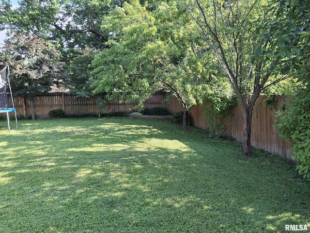 2604 W Kansas St, Peoria, IL 61604 - fenced backyard with a trampoline