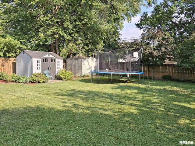 2604 W Kansas St, Peoria, IL 61604 - fenced backyard with a shed and a trampoline
