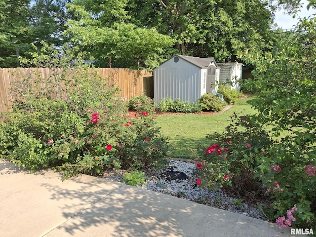 2604 W Kansas St, Peoria, IL 61604 - view of yard with a shed