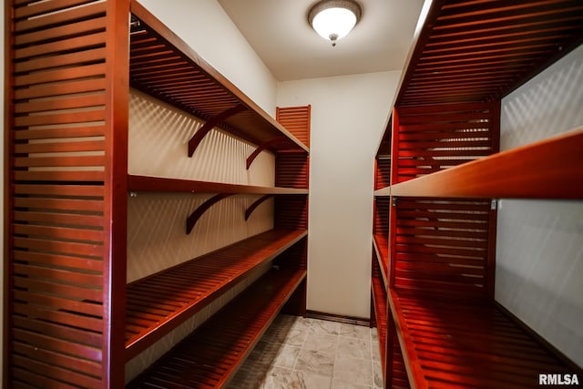 241 Birch Pl, Kewanee, IL 61443 - view of walk in closet