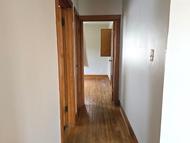 904 E Elm St, Canton, IL 61520 - hallway with dark wood-type flooring and baseboards