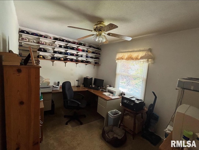 218 W Kurlene Dr, Macomb, IL 61455 - office space with a ceiling fan and carpet flooring