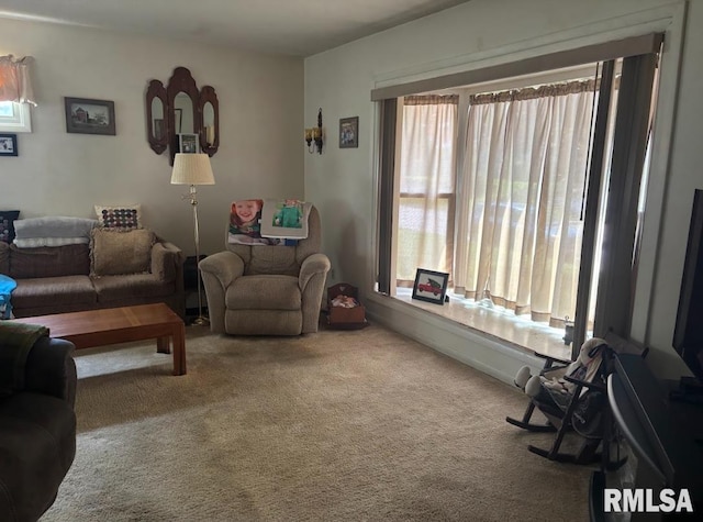 218 W Kurlene Dr, Macomb, IL 61455 - view of carpeted living room