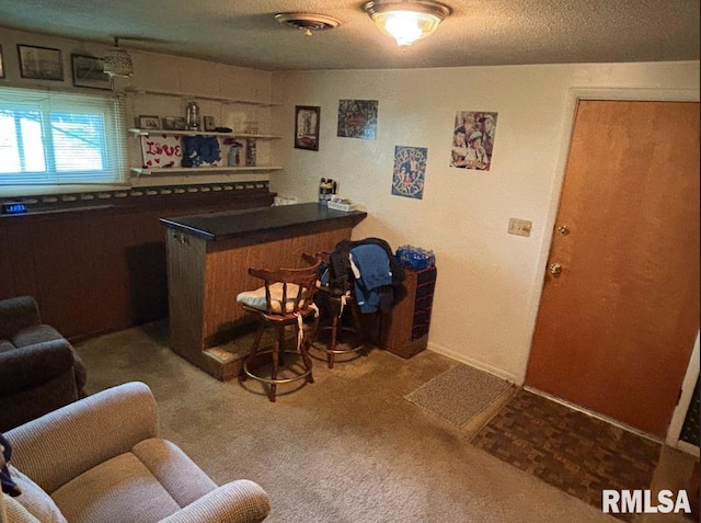 218 W Kurlene Dr, Macomb, IL 61455 - indoor dry bar featuring carpet floors and a textured ceiling
