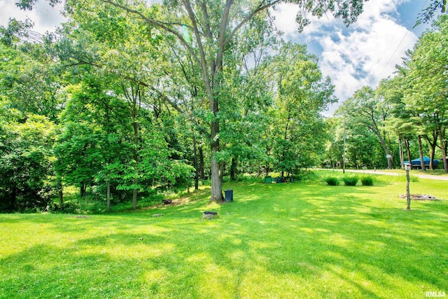 100 Oakridge Ct, Dahinda, IL 61428 - view of green lawn featuring view of scattered trees