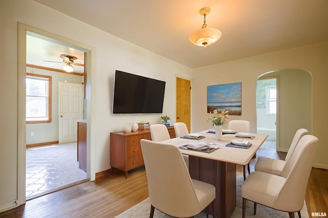 1030 E Euclid Ave, Peoria Heights, IL 61616 - dining room with arched walkways, light wood-type flooring, and ceiling fan