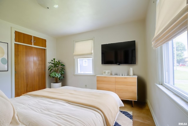1030 E Euclid Ave, Peoria Heights, IL 61616 - bedroom featuring carpet floors and a closet