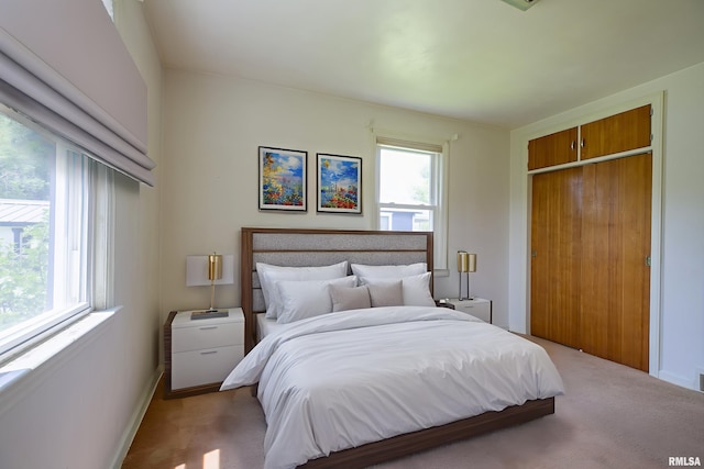 1030 E Euclid Ave, Peoria Heights, IL 61616 - bedroom with carpet and a closet