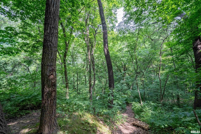 8 W Harp Hollow Rd, Peoria, IL 61607