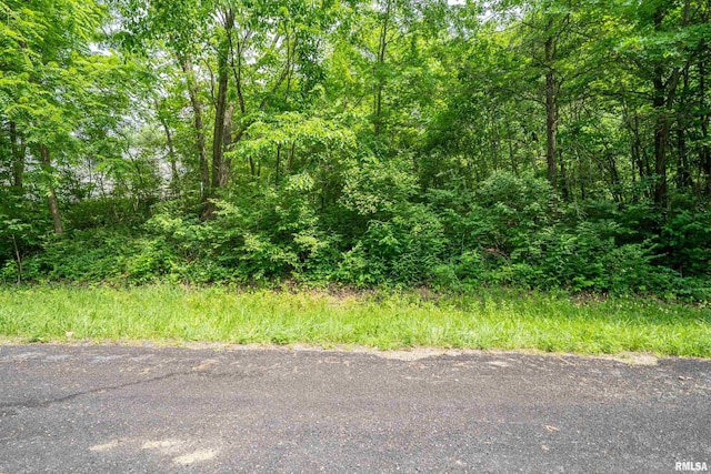 5115 W Harp Hollow Rd, Peoria, IL 61607