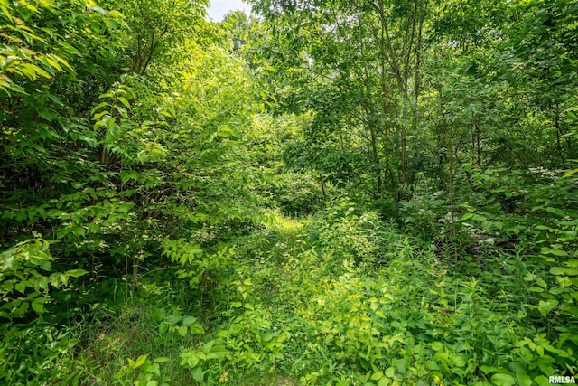 5115 W Harp Hollow Rd, Peoria, IL 61607