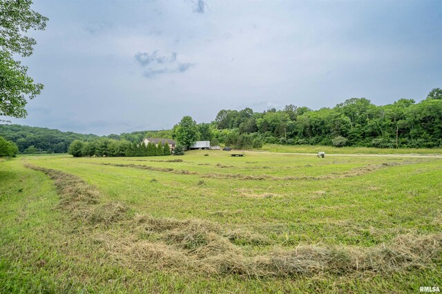 21501 N Berchtold Rd, Chillicothe, IL 61523 - view of grassy yard featuring a rural view