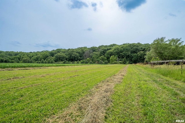 21501 N Berchtold Rd, Chillicothe, IL 61523 - view of yard featuring a view of rural / pastoral area and a forest view
