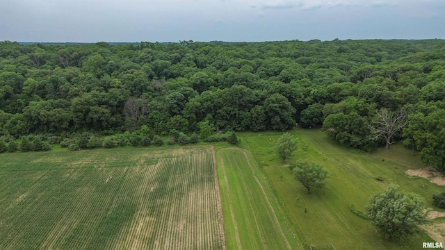 21501 N Berchtold Rd, Chillicothe, IL 61523 - aerial view of property's location