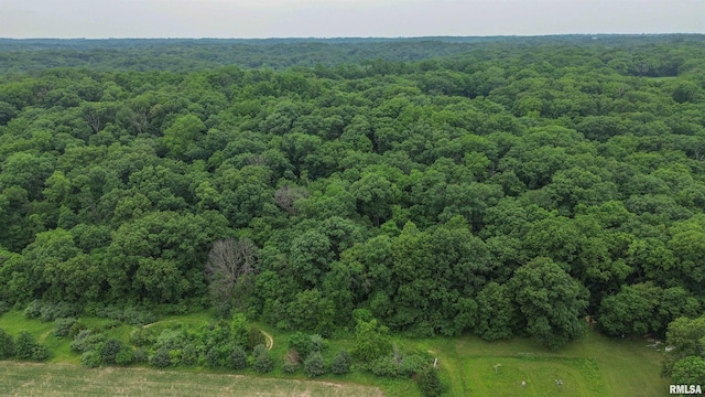 21501 N Berchtold Rd, Chillicothe, IL 61523 - aerial view of a heavily wooded area