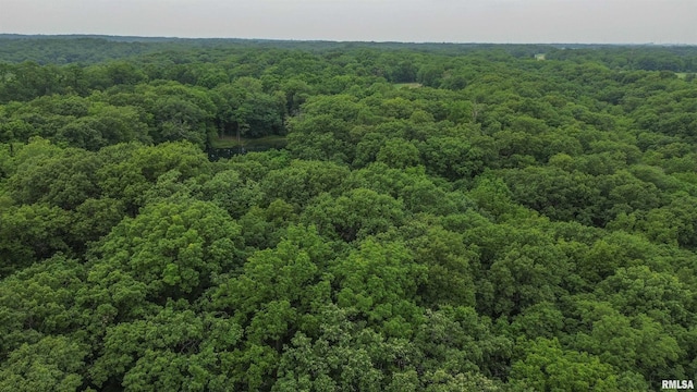 21501 N Berchtold Rd, Chillicothe, IL 61523 - photo 87