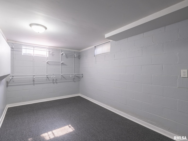 621 E Sciota Ave, Peoria Heights, IL 61616 - walk in closet featuring carpet flooring