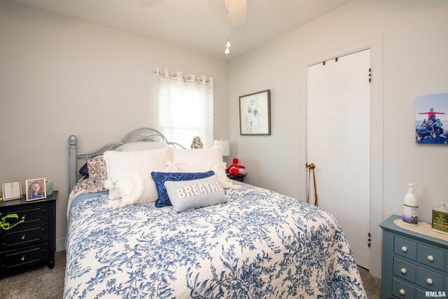 202 Esser St, Washington, IL 61571 - bedroom with carpet floors and a ceiling fan