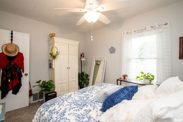 202 Esser St, Washington, IL 61571 - carpeted bedroom with ceiling fan