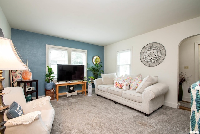 202 Esser St, Washington, IL 61571 - living area featuring arched walkways and carpet flooring