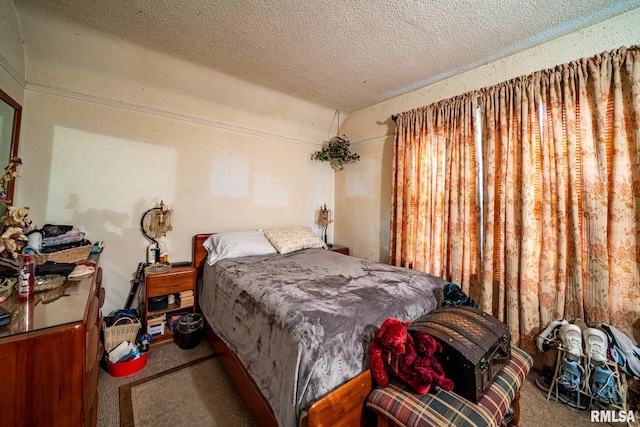 509 W Mcclure Ave, Peoria, IL 61604 - bedroom featuring carpet floors, a textured ceiling, and lofted ceiling