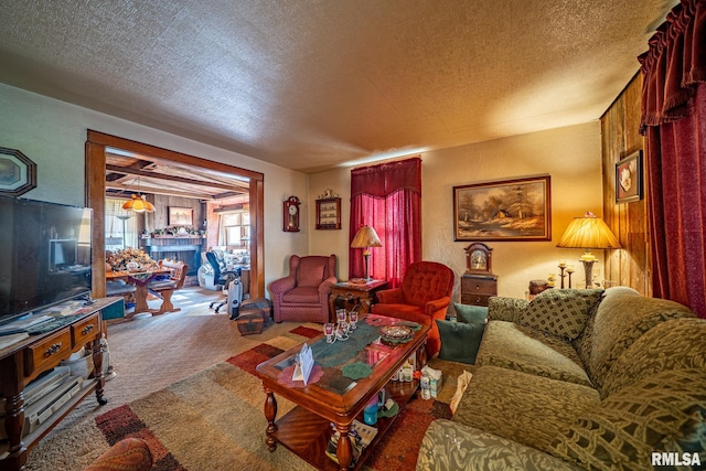 509 W Mcclure Ave, Peoria, IL 61604 - carpeted living area featuring a textured ceiling