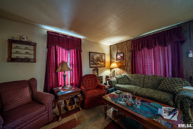 509 W Mcclure Ave, Peoria, IL 61604 - view of carpeted living room