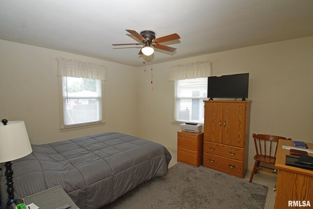 4 Alexander Ln, Bartonville, IL 61607 - bedroom with multiple windows, carpet, and ceiling fan