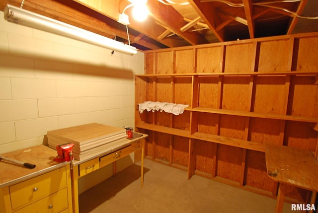 4 Alexander Ln, Bartonville, IL 61607 - view of storage room