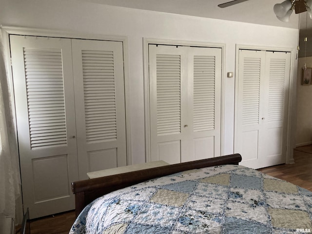 301 N Louise St, La Harpe, IL 61450 - bedroom featuring two closets, wood finished floors, and a ceiling fan