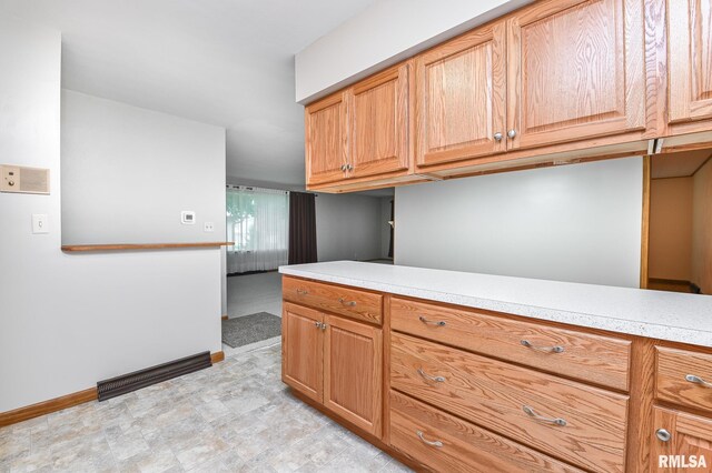 113 Highview Ter, East Peoria, IL 61611 - kitchen with light countertops and baseboards