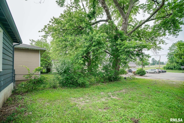 409 E Embert Pl, Peoria, IL 61603 - view of yard