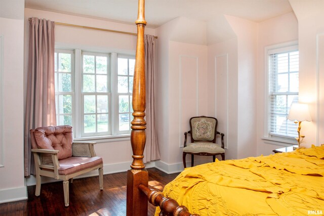 3316 N Biltmore Ave, Peoria, IL 61604 - bedroom with multiple windows and dark wood finished floors