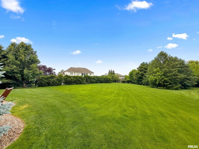 10501 N Harvest Ct, Peoria, IL 61615 - photo 11