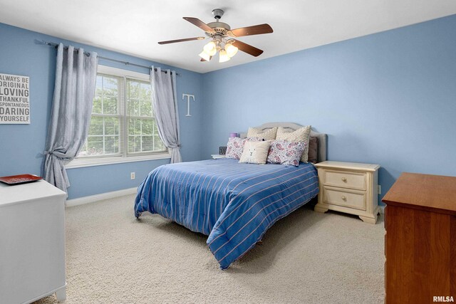 10501 N Harvest Ct, Peoria, IL 61615 - photo 38