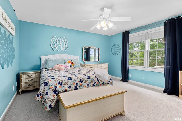 10501 N Harvest Ct, Peoria, IL 61615 - photo 47