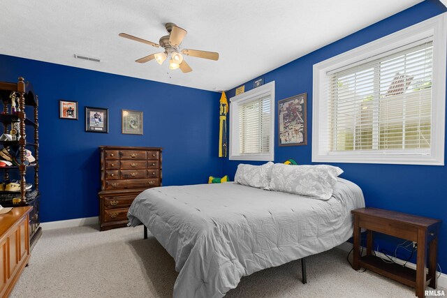 10501 N Harvest Ct, Peoria, IL 61615 - photo 56