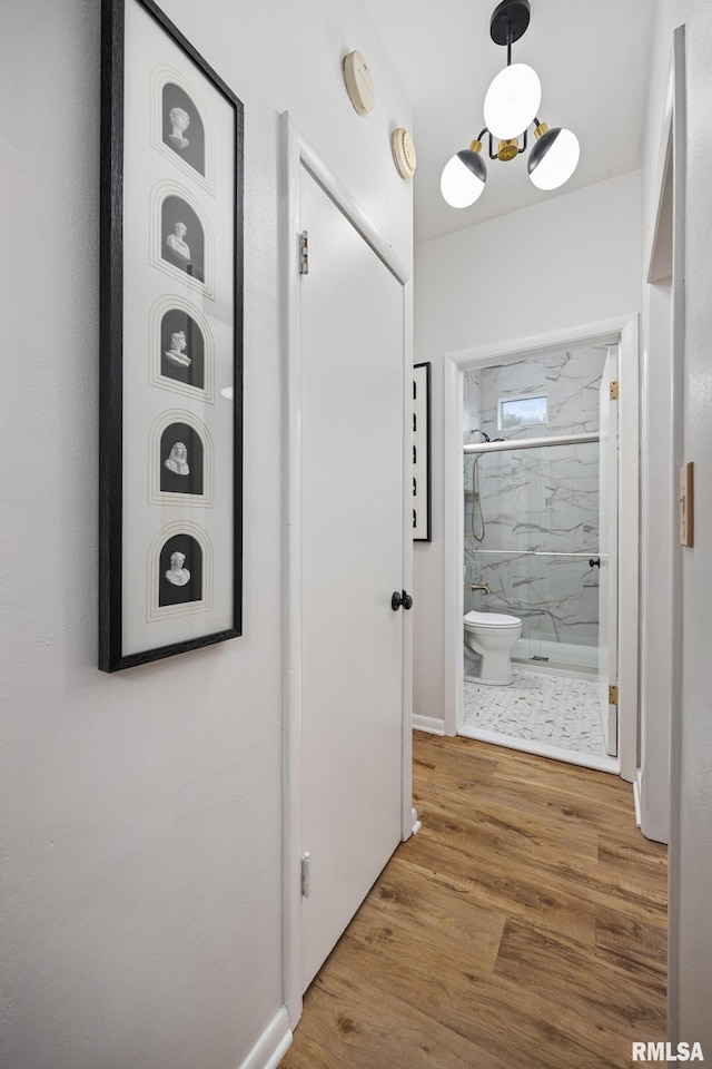 1431 E Rouse Ave, Peoria, IL 61614 - hallway with wood finished floors