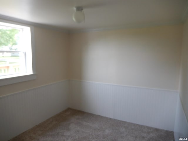 300 E Summer St, Plymouth, IL 62367 - unfurnished room with wainscoting and carpet flooring