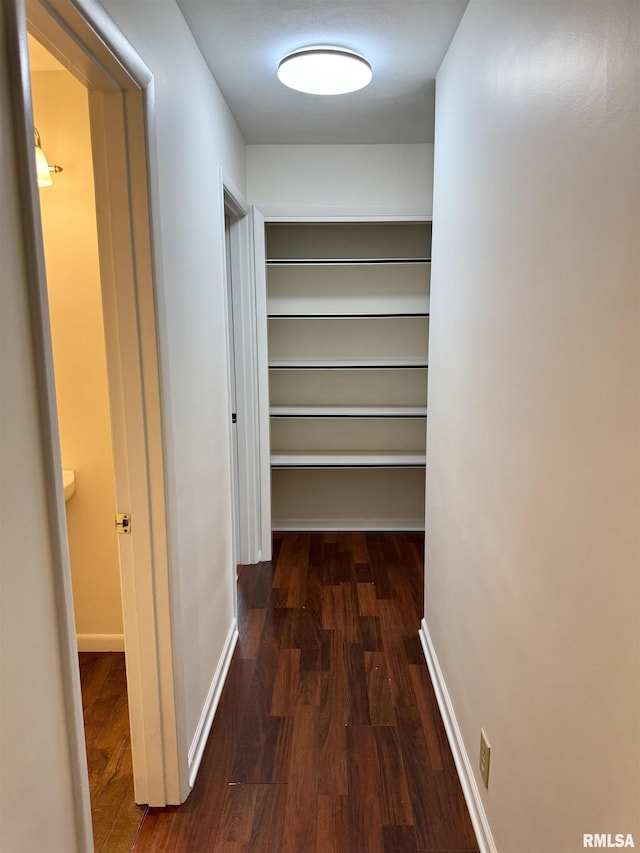 133 Holden Dr, Macomb, IL 61455 - hall with wood finished floors and baseboards