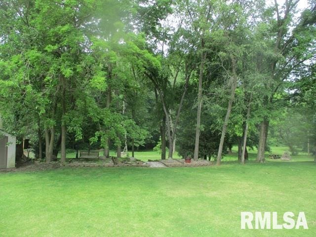 3708 Bloomington Rd, East Peoria, IL 61611 - view of green lawn featuring a shed