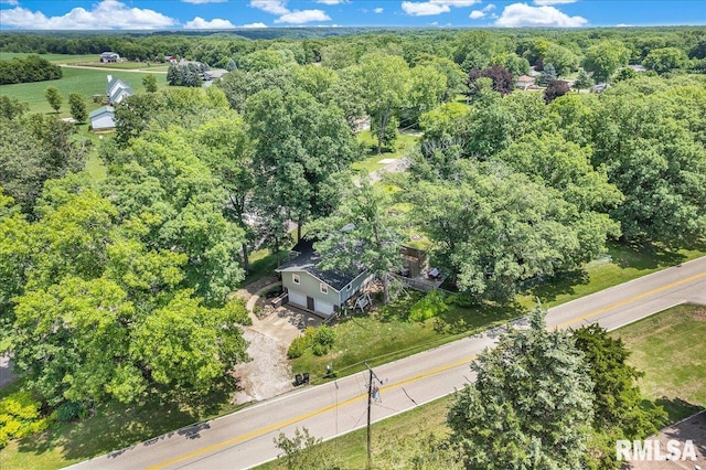 1536 Hickory Point Rd, Metamora, IL 61548 - bird's eye view of a heavily wooded area