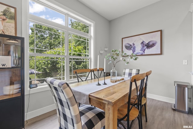 4096 Oak Run Dr, Dahinda, IL 61428 - dining space featuring wood finished floors and baseboards