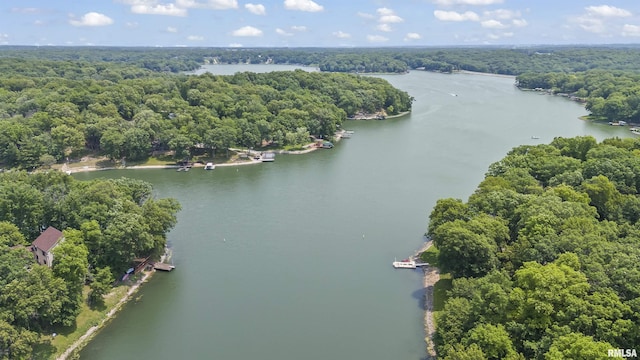 4096 Oak Run Dr, Dahinda, IL 61428 - aerial view of a large body of water and a heavily wooded area