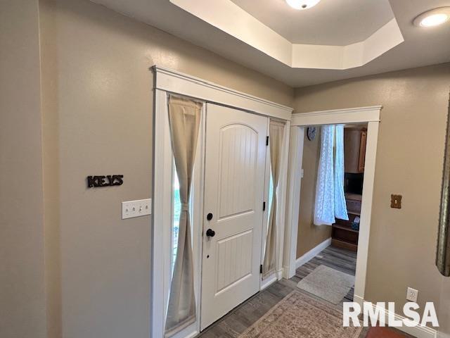 964 E Locust St, Canton, IL 61520 - foyer with a raised ceiling and wood finished floors